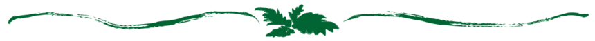 blad-12-860x60.png