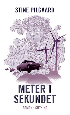 Meter i sekundet.jpeg