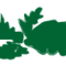 blad-12-860x60.png